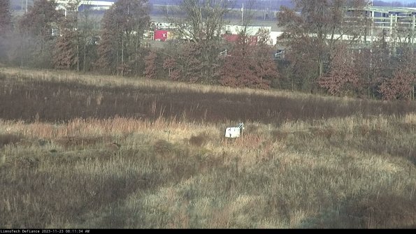 Cell 2 to 3_23-11-23_08-11-34-79