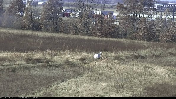 Cell 2 to 3_23-11-23_13-46-28-82