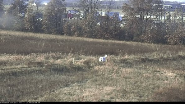 Cell 2 to 3_23-11-23_16-00-24-93