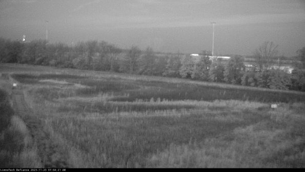 Cell 2_23-11-23_07-04-21-92