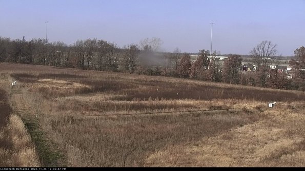 Cell 2_23-11-23_12-05-47-82