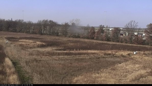 Cell 2_23-11-23_12-39-15-81