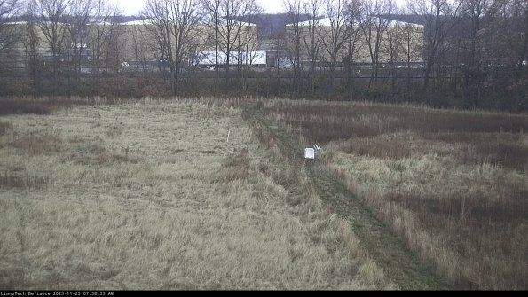 Cell 3 to 4_23-11-23_07-38-33-77