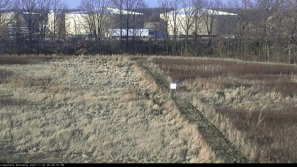 Cell 3 to 4_23-11-23_16-00-53-79