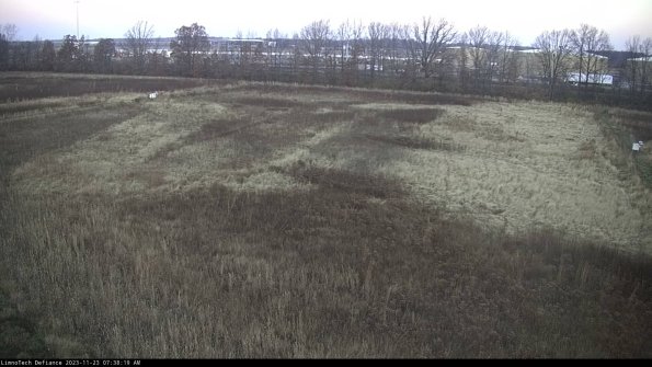 Cell 3_23-11-23_07-38-19-79