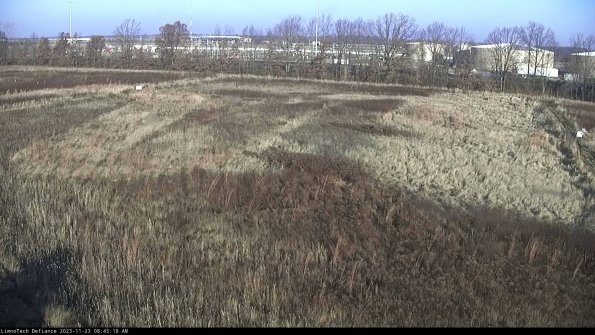 Cell 3_23-11-23_08-45-18-79