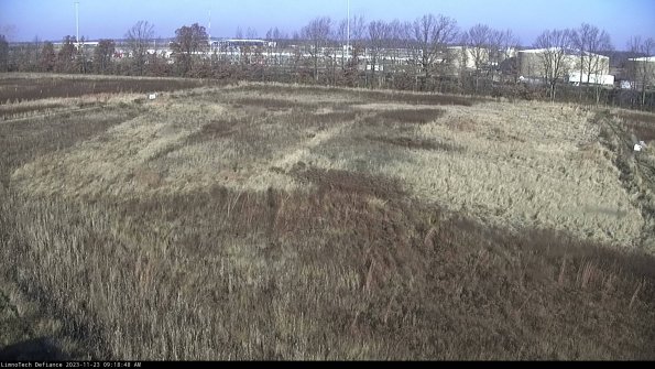 Cell 3_23-11-23_09-18-48-80