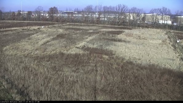 Cell 3_23-11-23_09-52-18-05