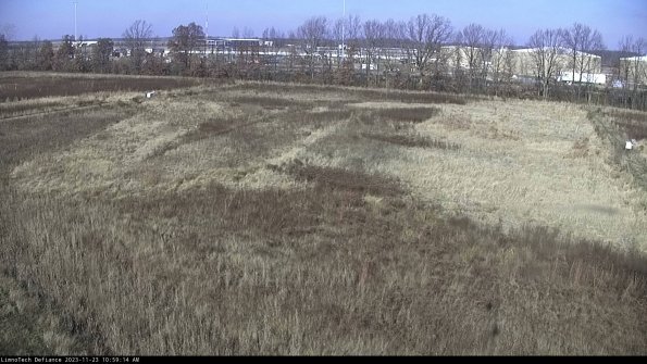 Cell 3_23-11-23_10-59-15-02