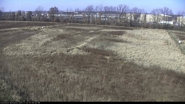 Cell 3_23-11-23_13-46-42-97