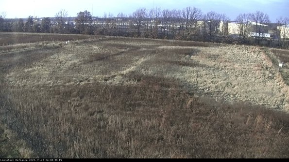 Cell 3_23-11-23_16-00-39-78