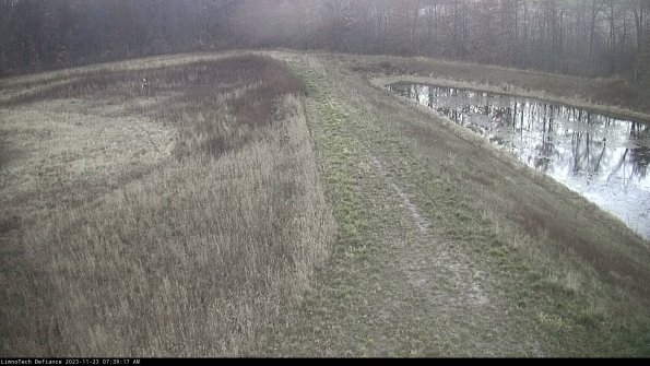 Cell 4 to Basin_23-11-23_07-39-17-82