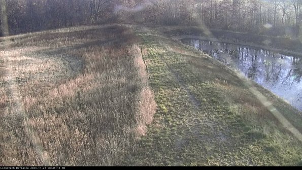 Cell 4 to Basin_23-11-23_08-46-16-81