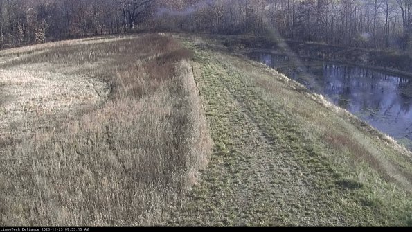 Cell 4 to Basin_23-11-23_09-53-15-81