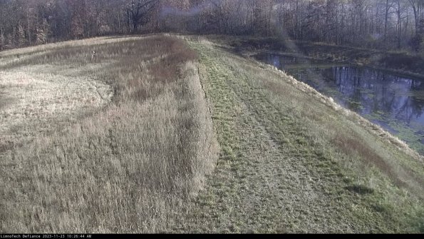 Cell 4 to Basin_23-11-23_10-26-44-79