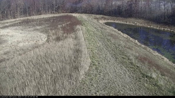 Cell 4 to Basin_23-11-23_13-47-40-76