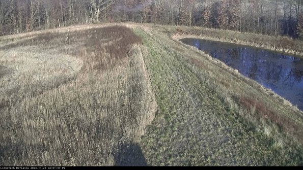 Cell 4 to Basin_23-11-23_16-01-37-77