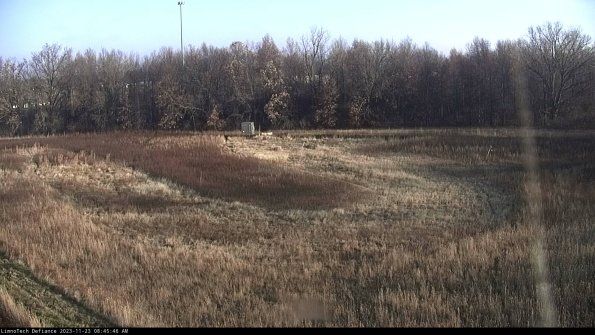 Cell 4_23-11-23_08-45-46-78