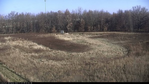 Cell 4_23-11-23_09-52-45-78