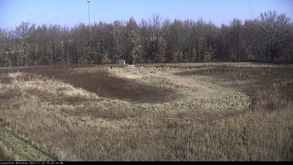 Cell 4_23-11-23_10-26-14-76