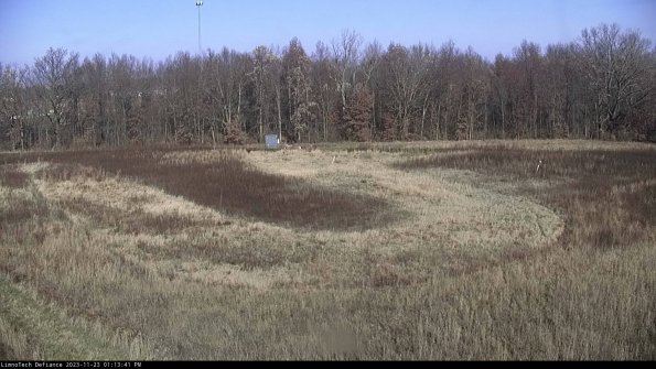 Cell 4_23-11-23_13-13-41-78