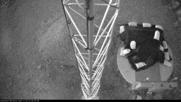 Hatch_23-11-23_07-00-00-76