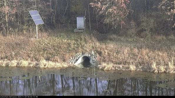 Basin Inflow_23-11-24_16-02-13-77