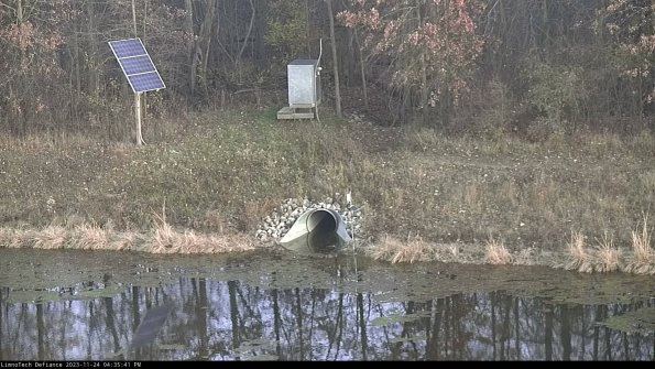 Basin Inflow_23-11-24_16-35-41-88