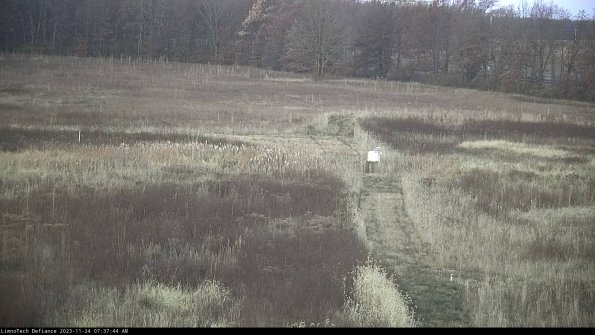 Cell 1 to 2_23-11-24_07-37-44-75