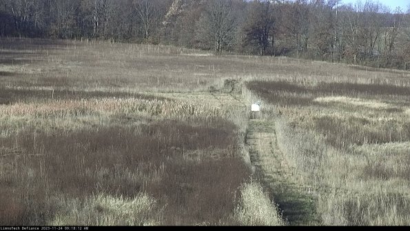 Cell 1 to 2_23-11-24_09-18-12-79