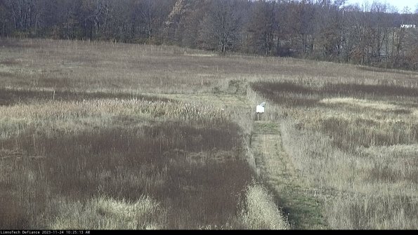 Cell 1 to 2_23-11-24_10-25-13-76