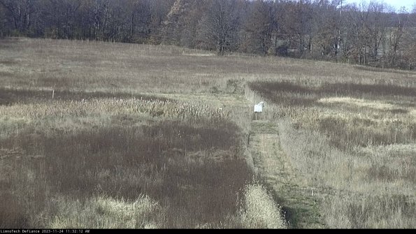 Cell 1 to 2_23-11-24_11-32-12-79