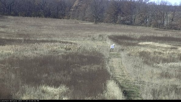 Cell 1 to 2_23-11-24_12-05-42-77