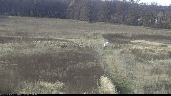 Cell 1 to 2_23-11-24_14-19-39-80