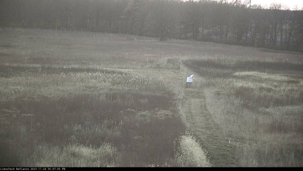 Cell 1 to 2_23-11-24_17-07-05-77