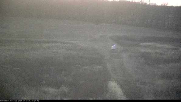 Cell 1 to 2_23-11-24_17-40-34-78