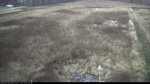 Cell 1_23-11-24_07-37-30-77