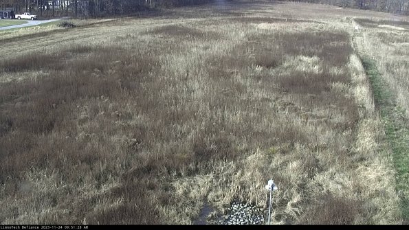 Cell 1_23-11-24_09-51-28-79