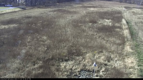 Cell 1_23-11-24_12-38-57-80