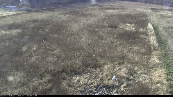 Cell 1_23-11-24_14-19-25-78