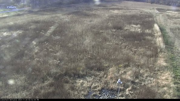 Cell 1_23-11-24_14-52-54-76