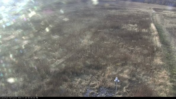 Cell 1_23-11-24_15-59-53-80