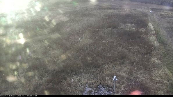 Cell 1_23-11-24_16-33-23-78