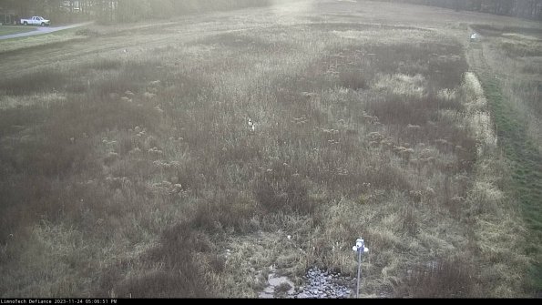 Cell 1_23-11-24_17-06-51-79