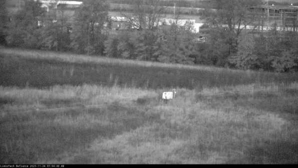 Cell 2 to 3_23-11-24_07-04-40-97