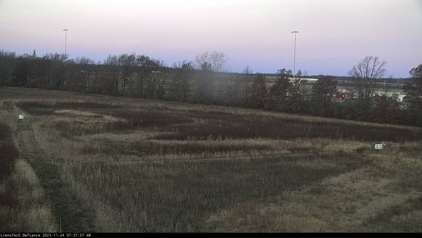 Cell 2_23-11-24_07-37-57-80