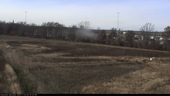 Cell 2_23-11-24_14-19-52-84