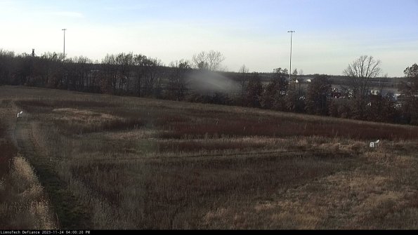 Cell 2_23-11-24_16-00-20-79