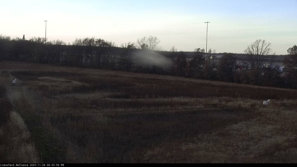 Cell 2_23-11-24_16-33-50-80