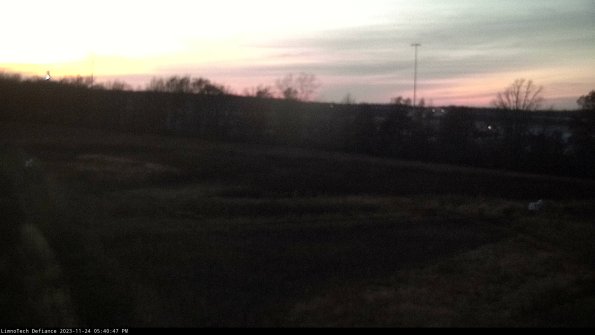 Cell 2_23-11-24_17-40-47-83